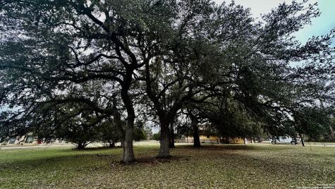 000 Tawny Oak Bandera TX 78003