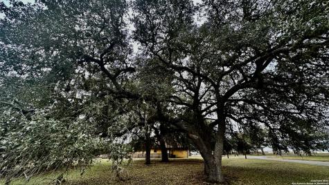 000 Tawny Oak Bandera TX 78003