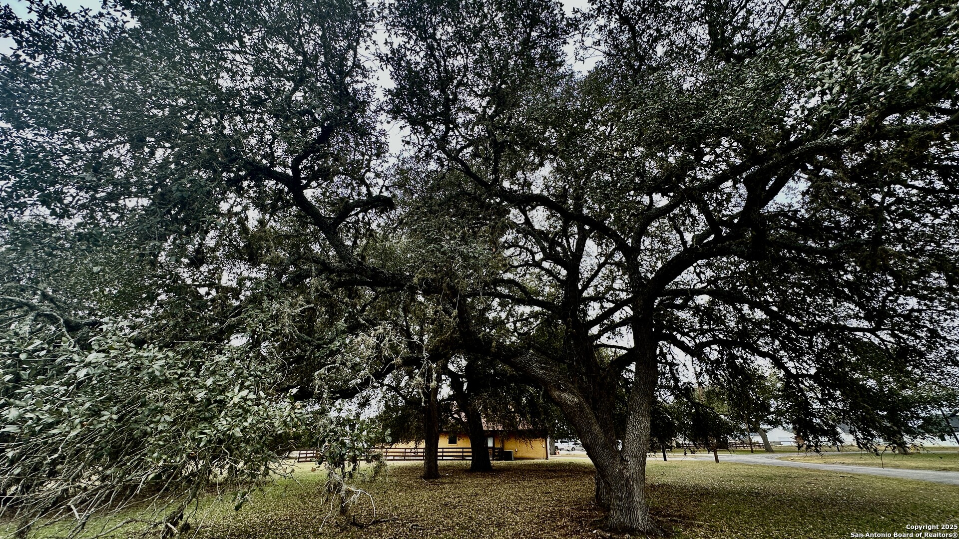 000 Tawny Oak Bandera TX 78003