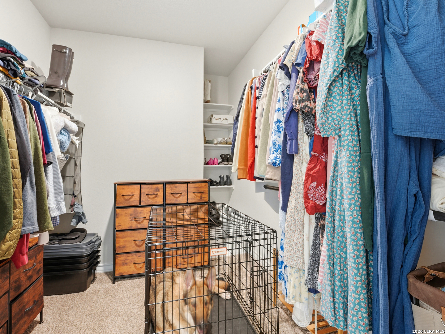 11438 Stichter Path San Antonio TX 78245