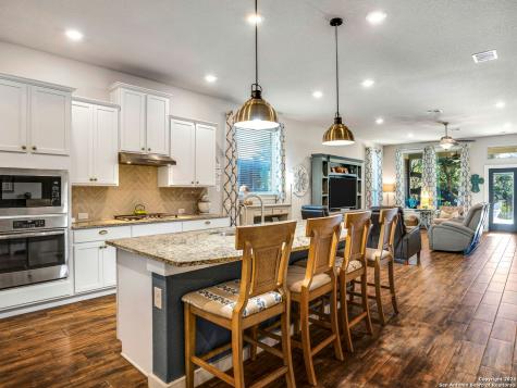 10546 Far Reaches Lane Helotes TX 78023