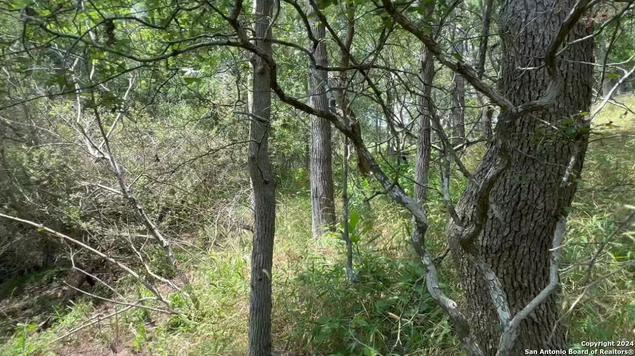 0 Kaukonahua Ln - Lot 649 / 650 Bastrop TX 78602