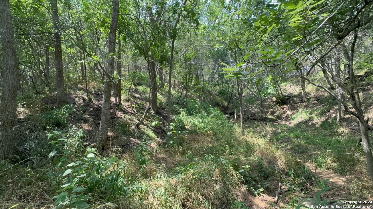 0 Kaukonahua Ln - Lot 649 / 650 Bastrop TX 78602