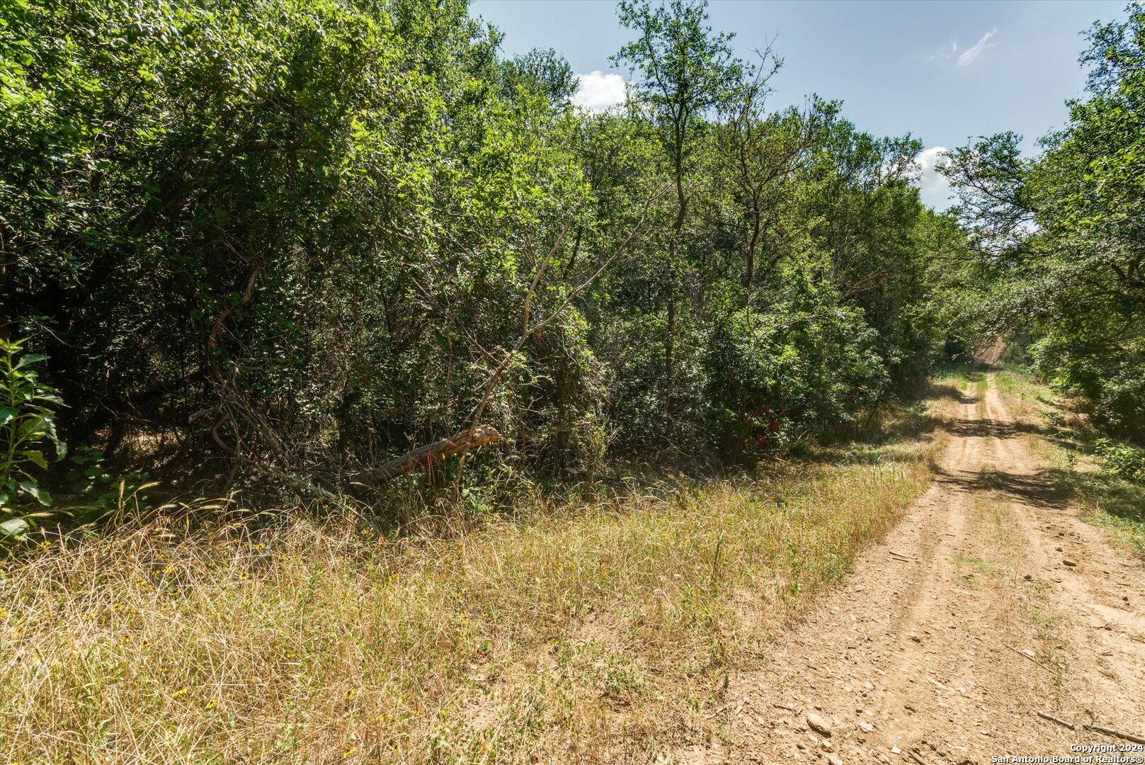 0 Kaukonahua Ln - Lot 649 / 650 Bastrop TX 78602