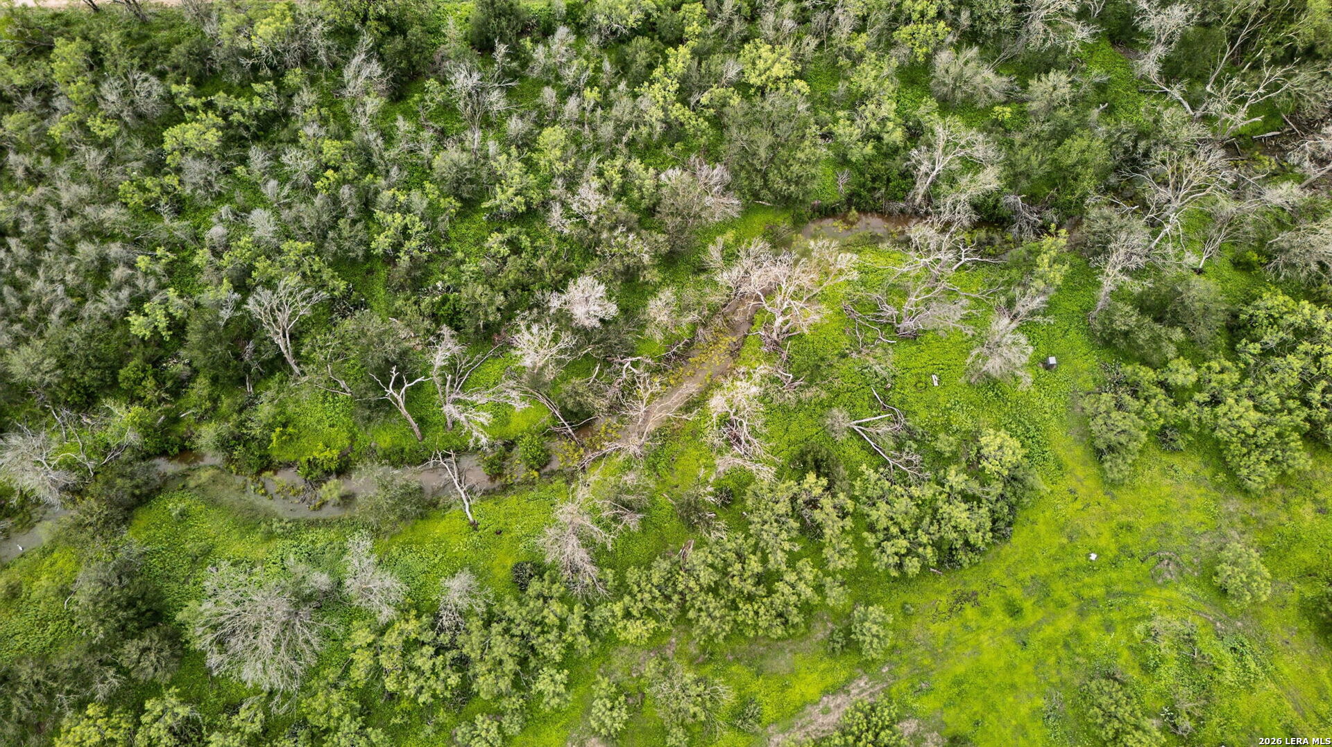 965 County Road 7611 Devine TX 78016