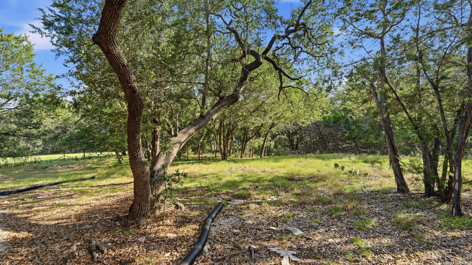 407 Las Hadas Spring Branch TX 78070