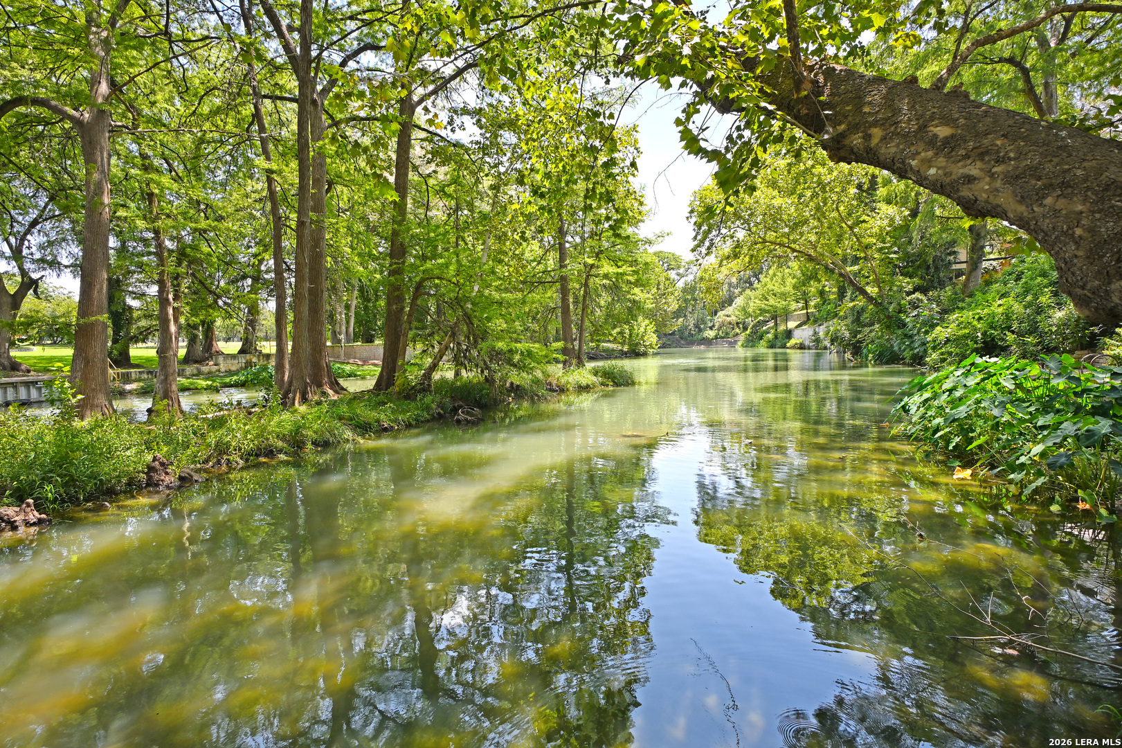 2221 Gruene Road New Braunfels TX 78130