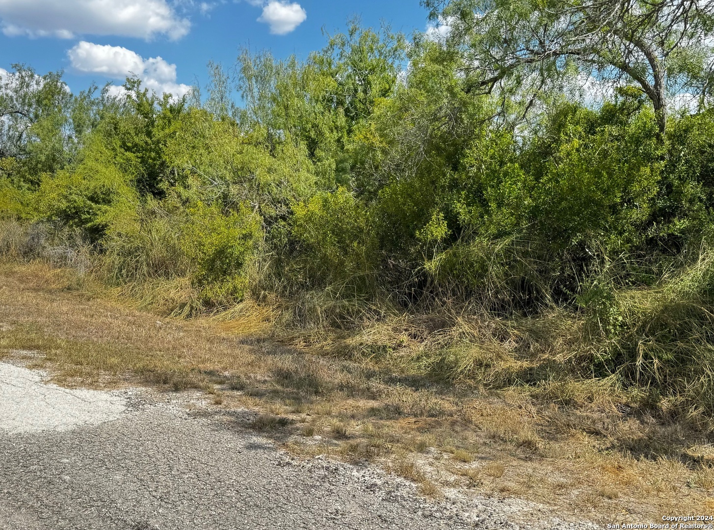 112 Clearview Circle Sandia TX 78383