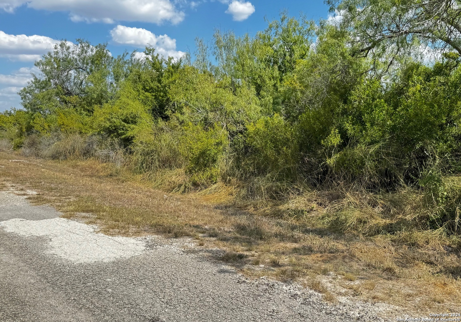 112 Clearview Circle Sandia TX 78383