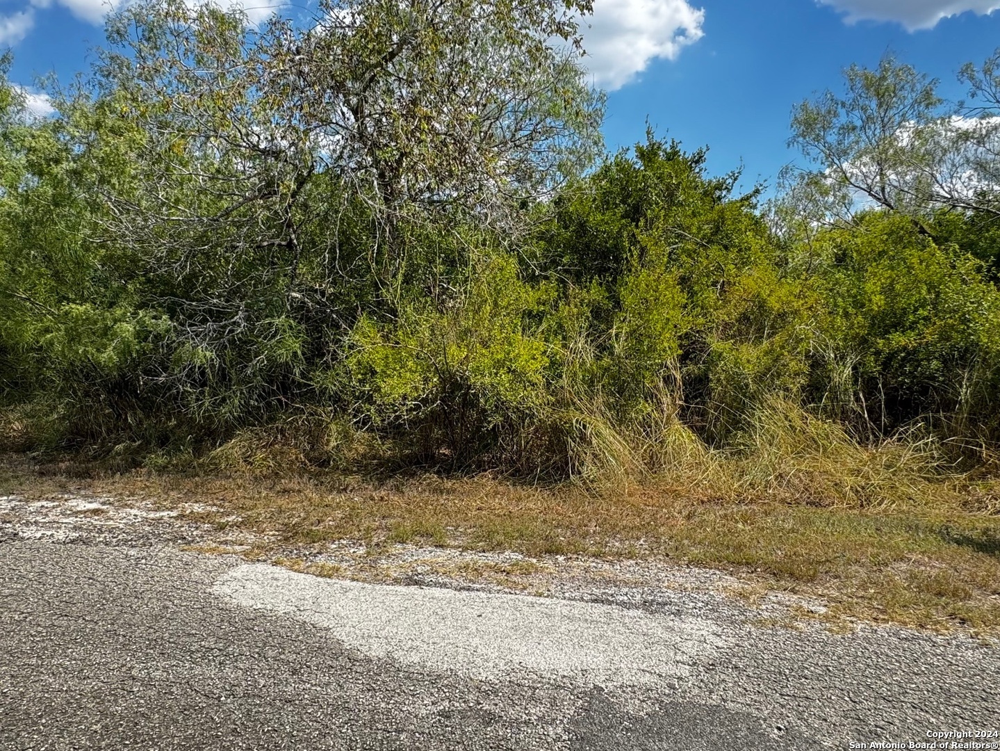 112 Clearview Circle Sandia TX 78383