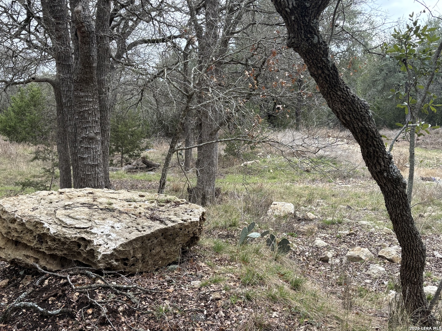 30685 Rice Bulverde TX 78163