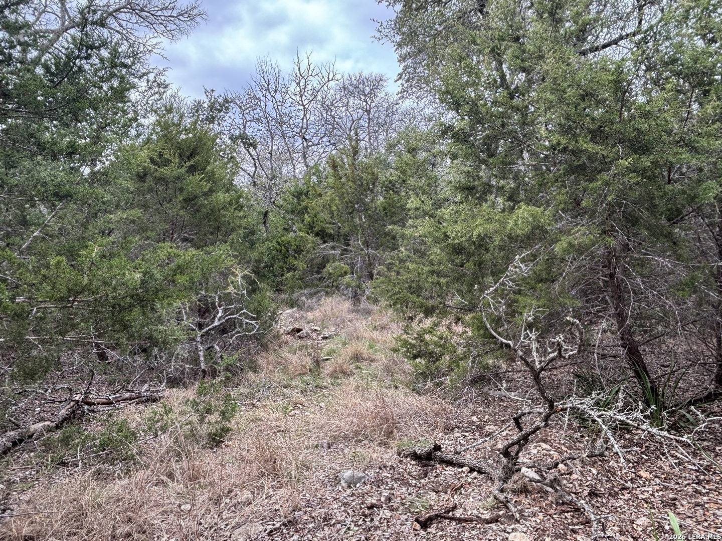 30685 Rice Bulverde TX 78163