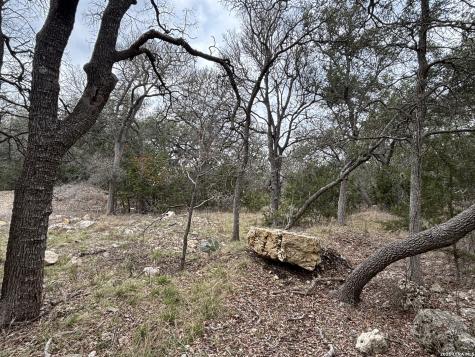 30685 Rice Bulverde TX 78163