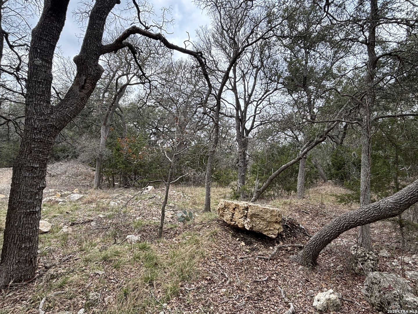 30685 Rice Bulverde TX 78163