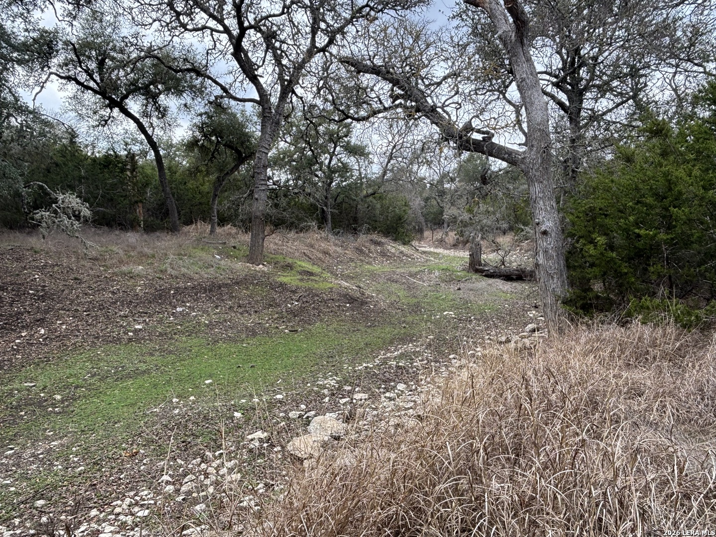 30685 Rice Bulverde TX 78163
