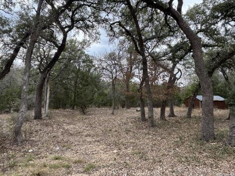 30685 Rice Bulverde TX 78163