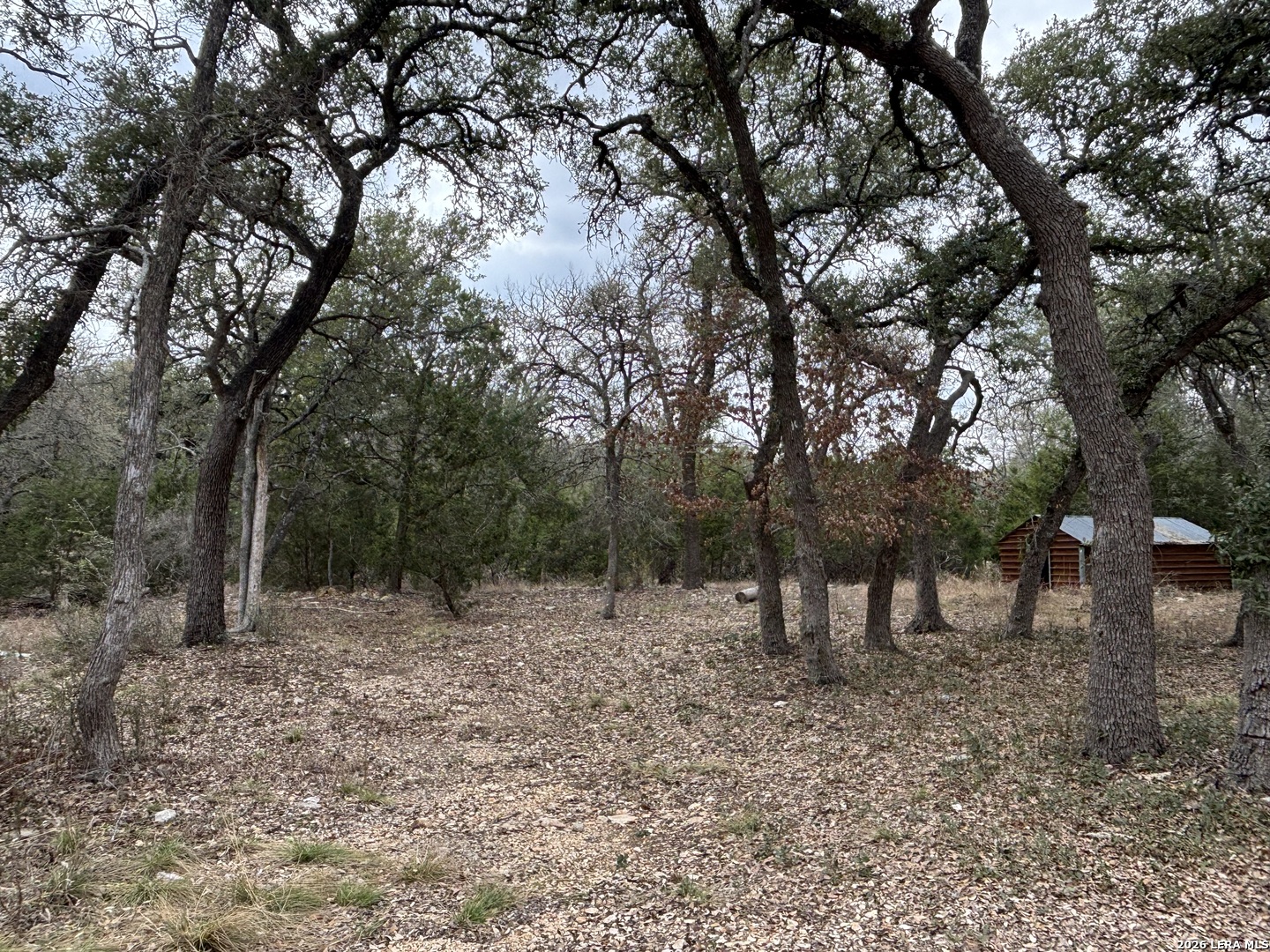 30685 Rice Bulverde TX 78163