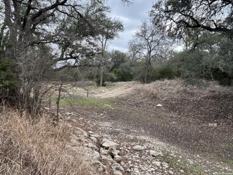 30685 Rice Bulverde TX 78163