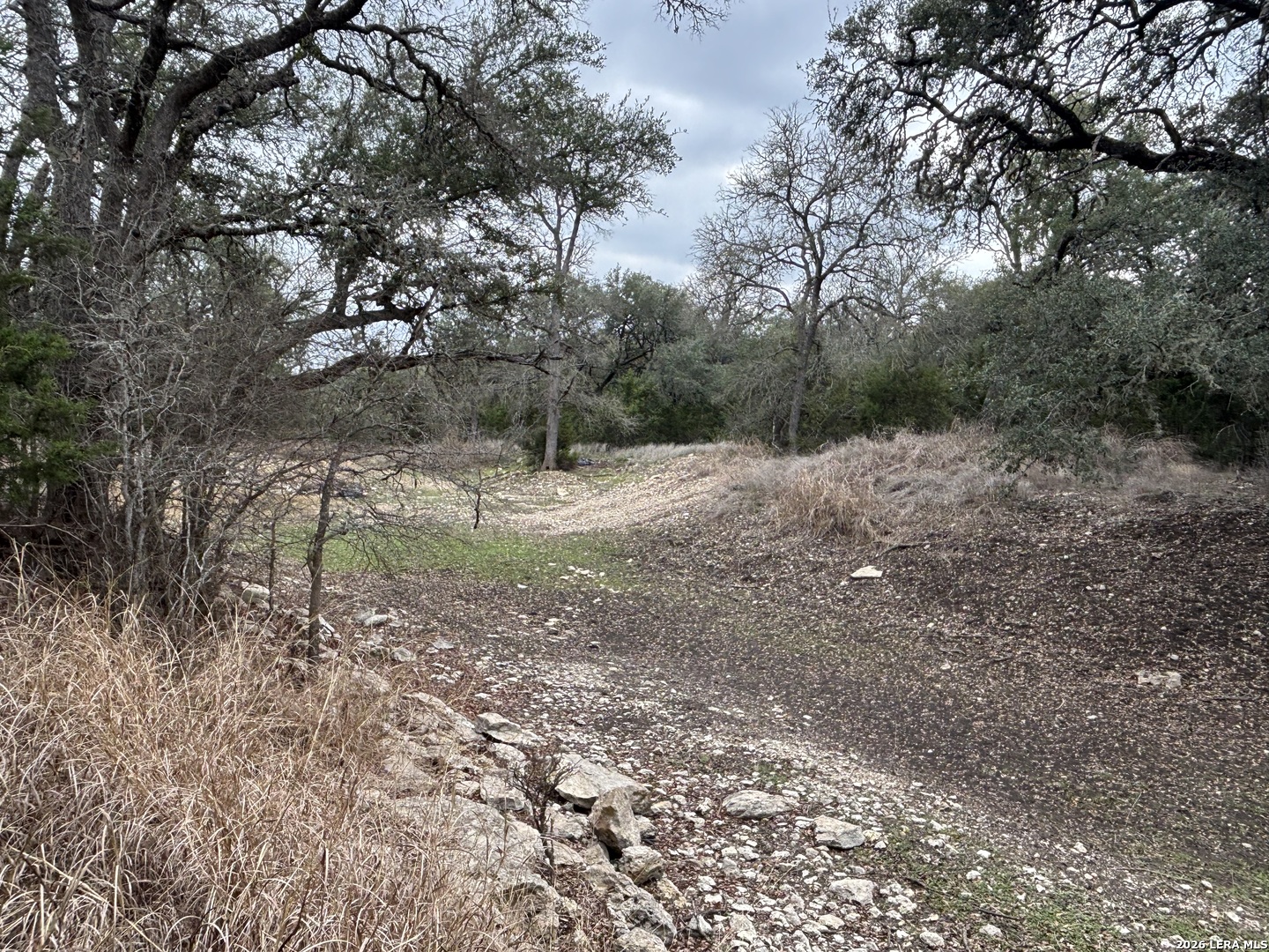 30685 Rice Bulverde TX 78163