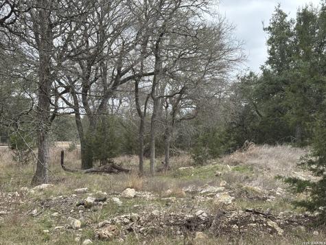 30685 Rice Bulverde TX 78163