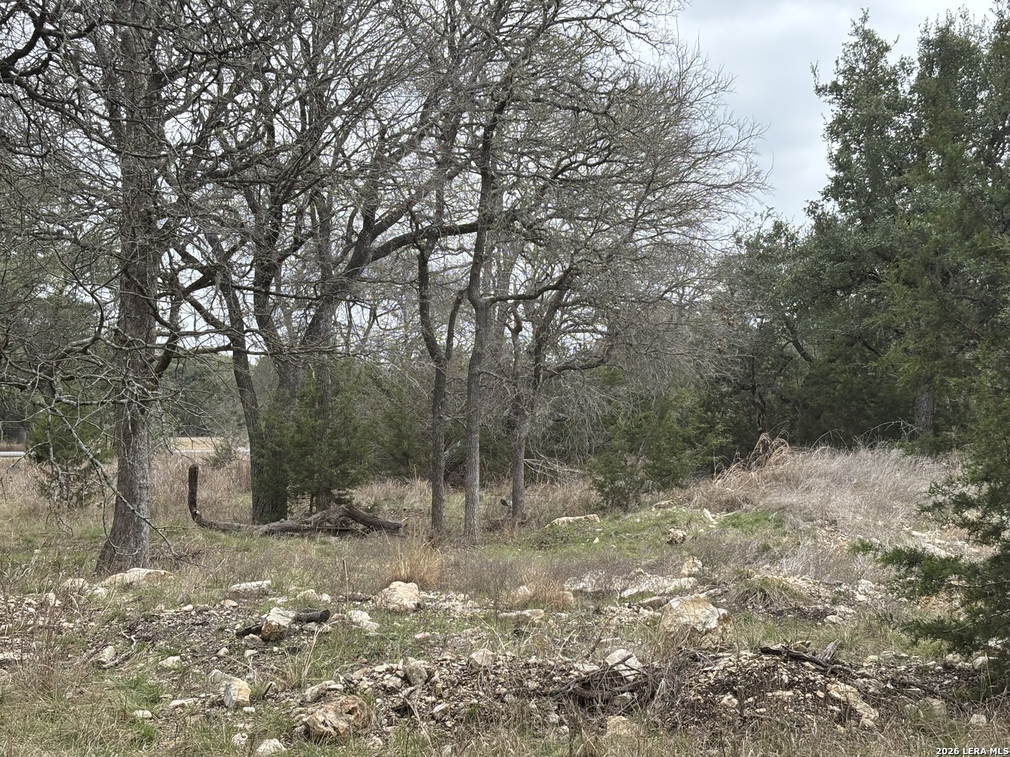 30685 Rice Bulverde TX 78163
