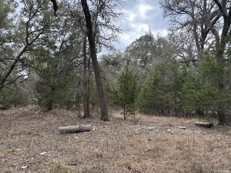 30685 Rice Bulverde TX 78163