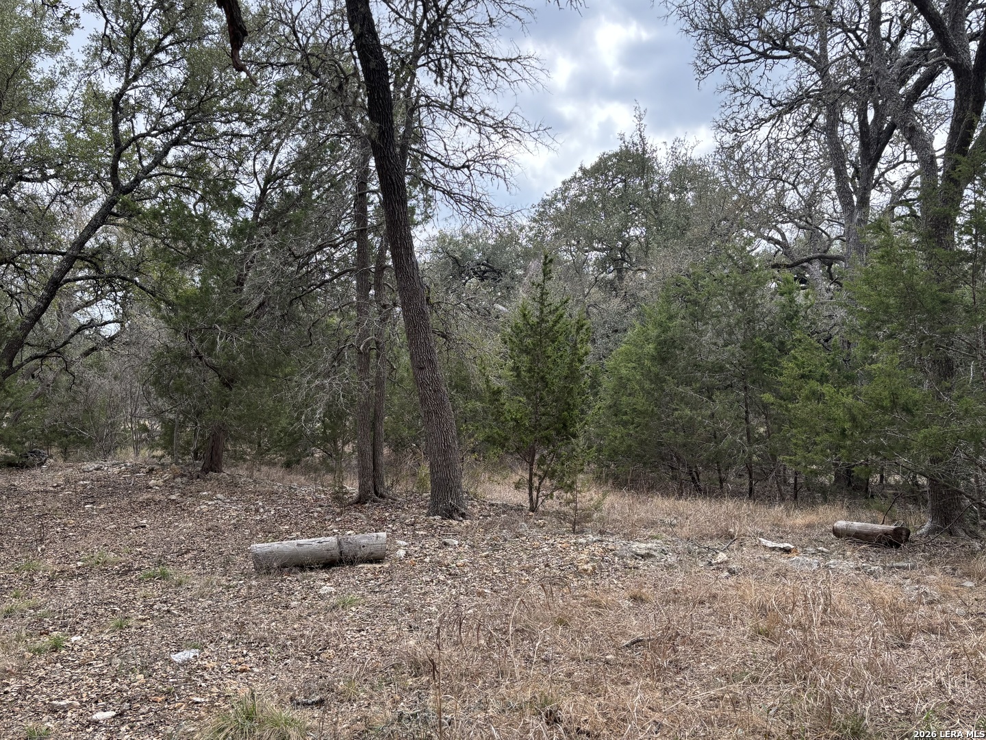 30685 Rice Bulverde TX 78163