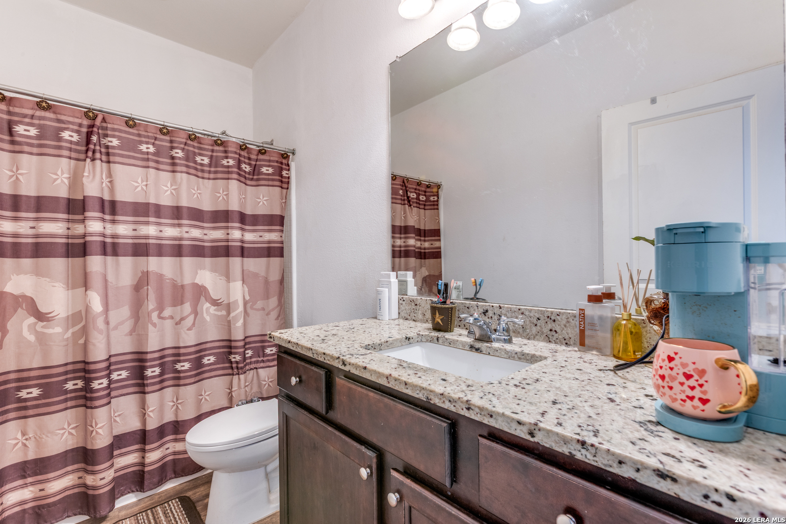 13909 Sherri Berry Way Manor TX 78653