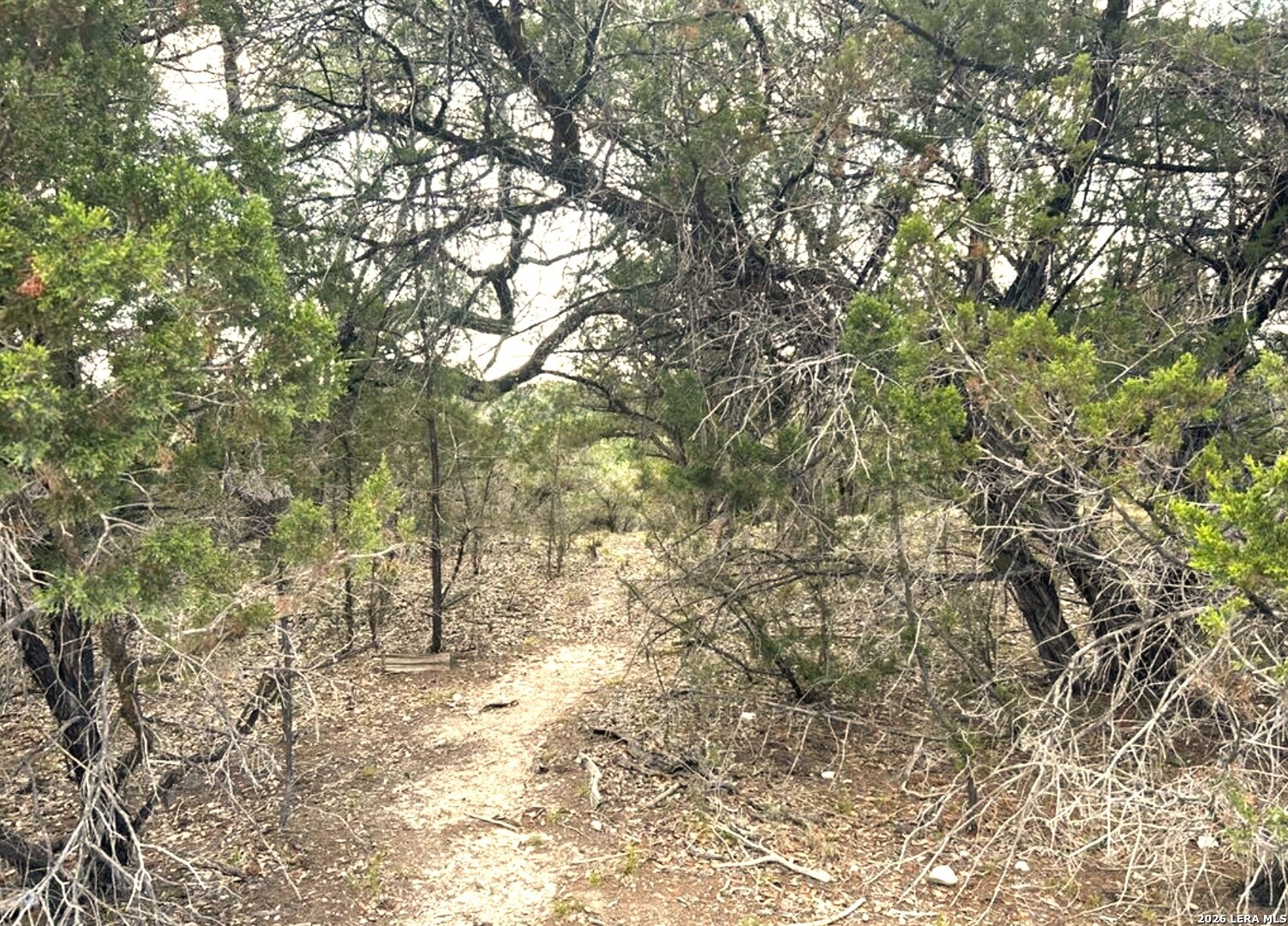 0 Escondido Pipe Creek TX 78063