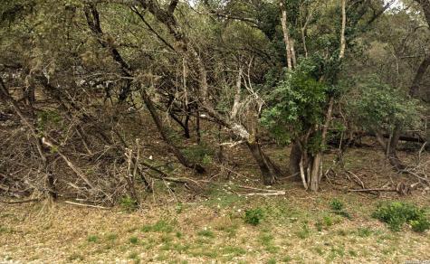 0 Escondido Pipe Creek TX 78063
