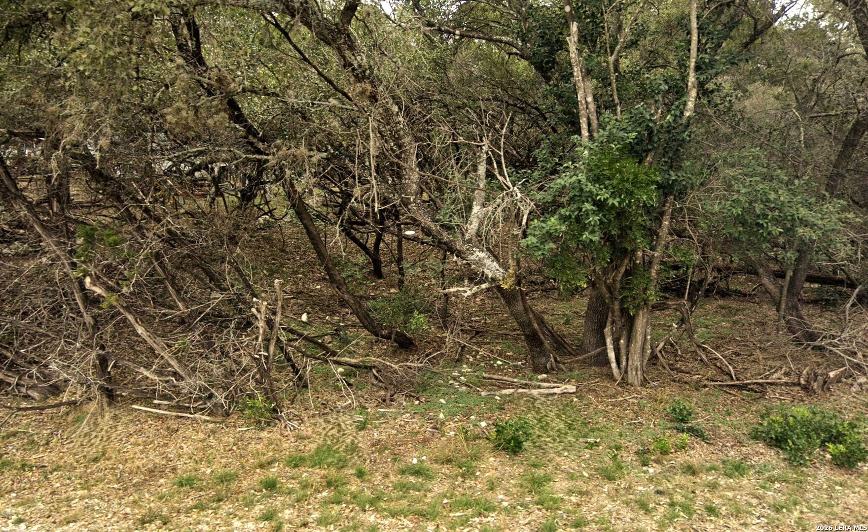 0 Escondido Pipe Creek TX 78063