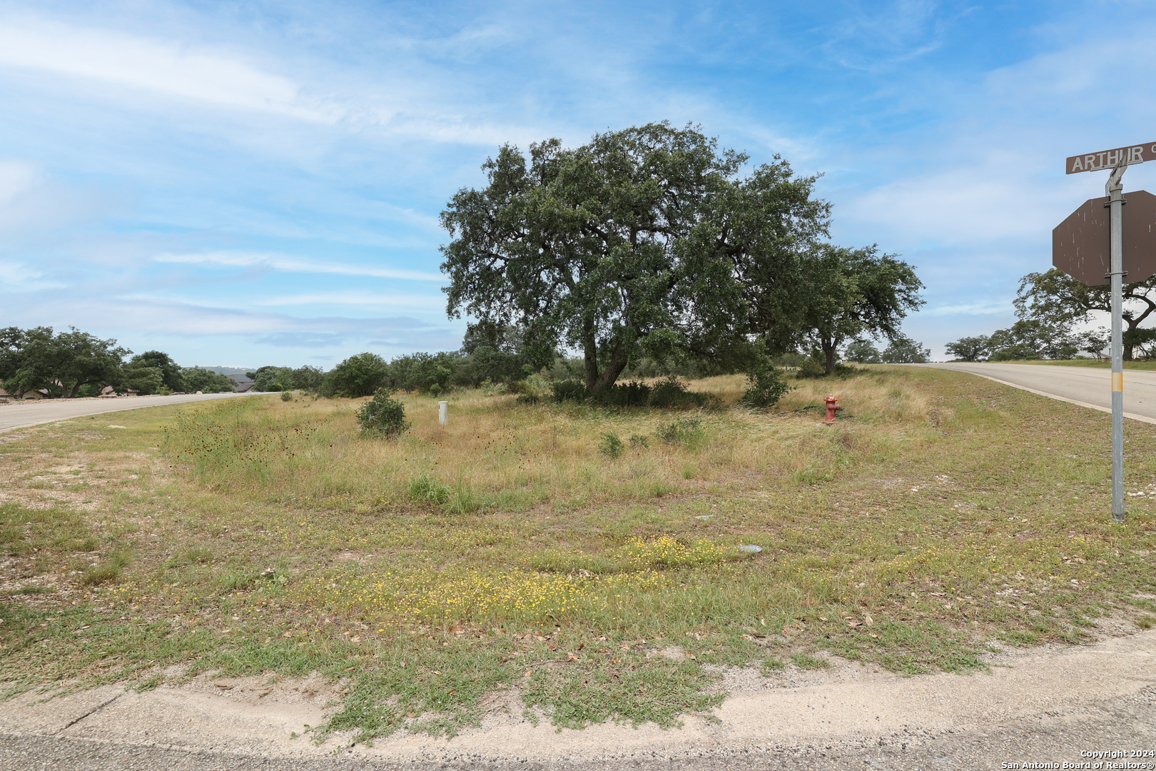 Lot 562 Arthur Ct / Obscure Way Spring Branch TX 78070
