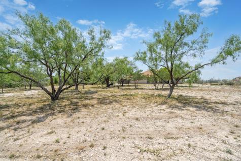159 W Skyview Del Rio TX 78840