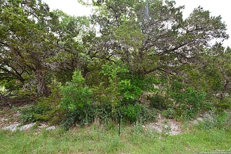 1873 Lakeshore Canyon Lake TX 78133