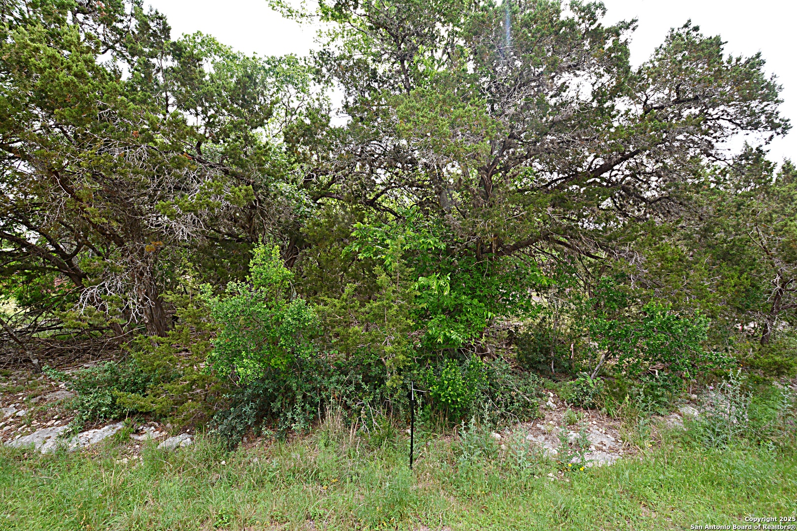 1873 Lakeshore Canyon Lake TX 78133