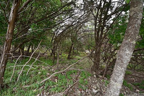 1873 Lakeshore Canyon Lake TX 78133