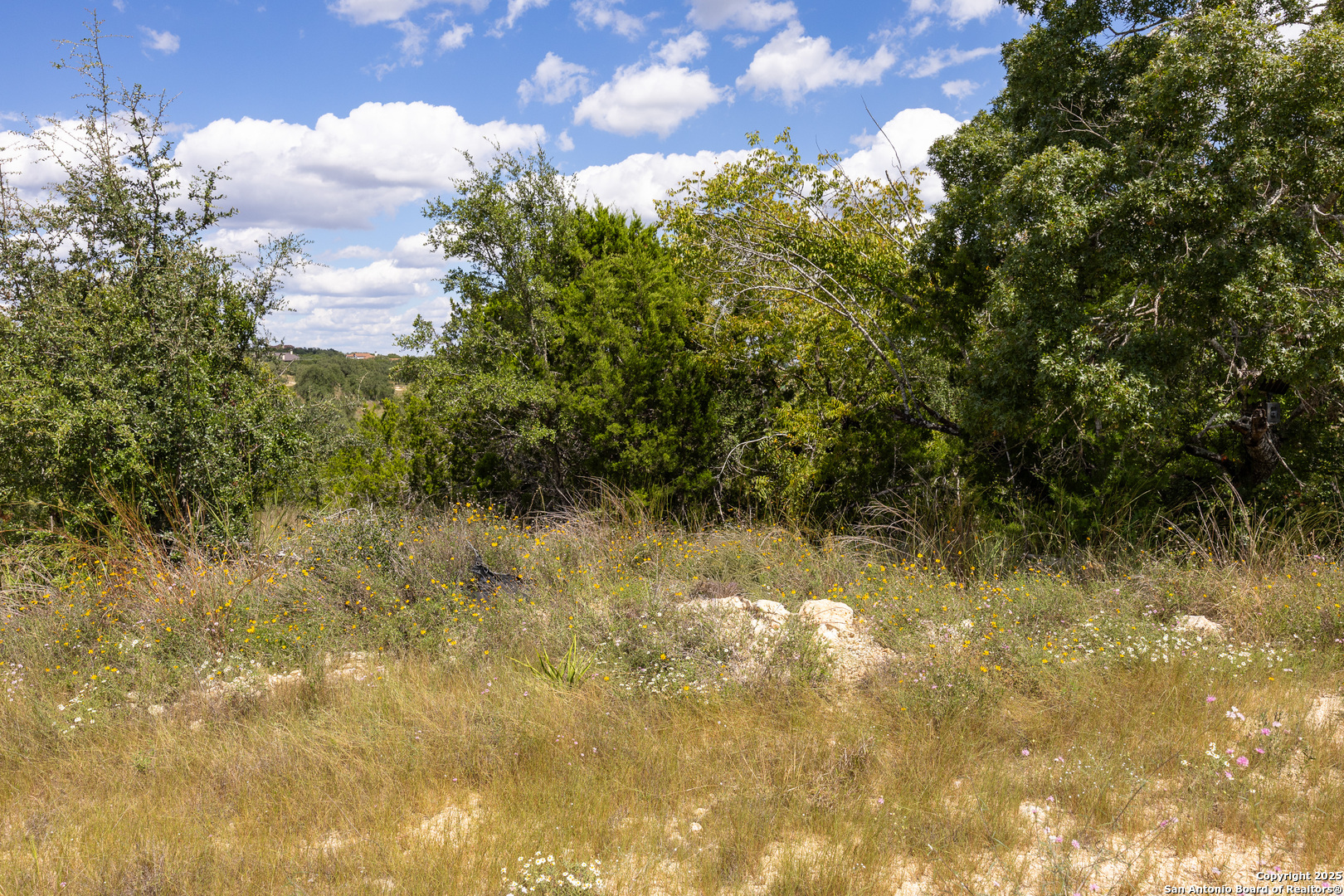 11317 Sloanes Ridge San Antonio TX 78255
