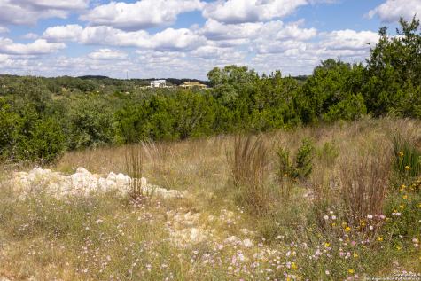 11317 Sloanes Ridge San Antonio TX 78255