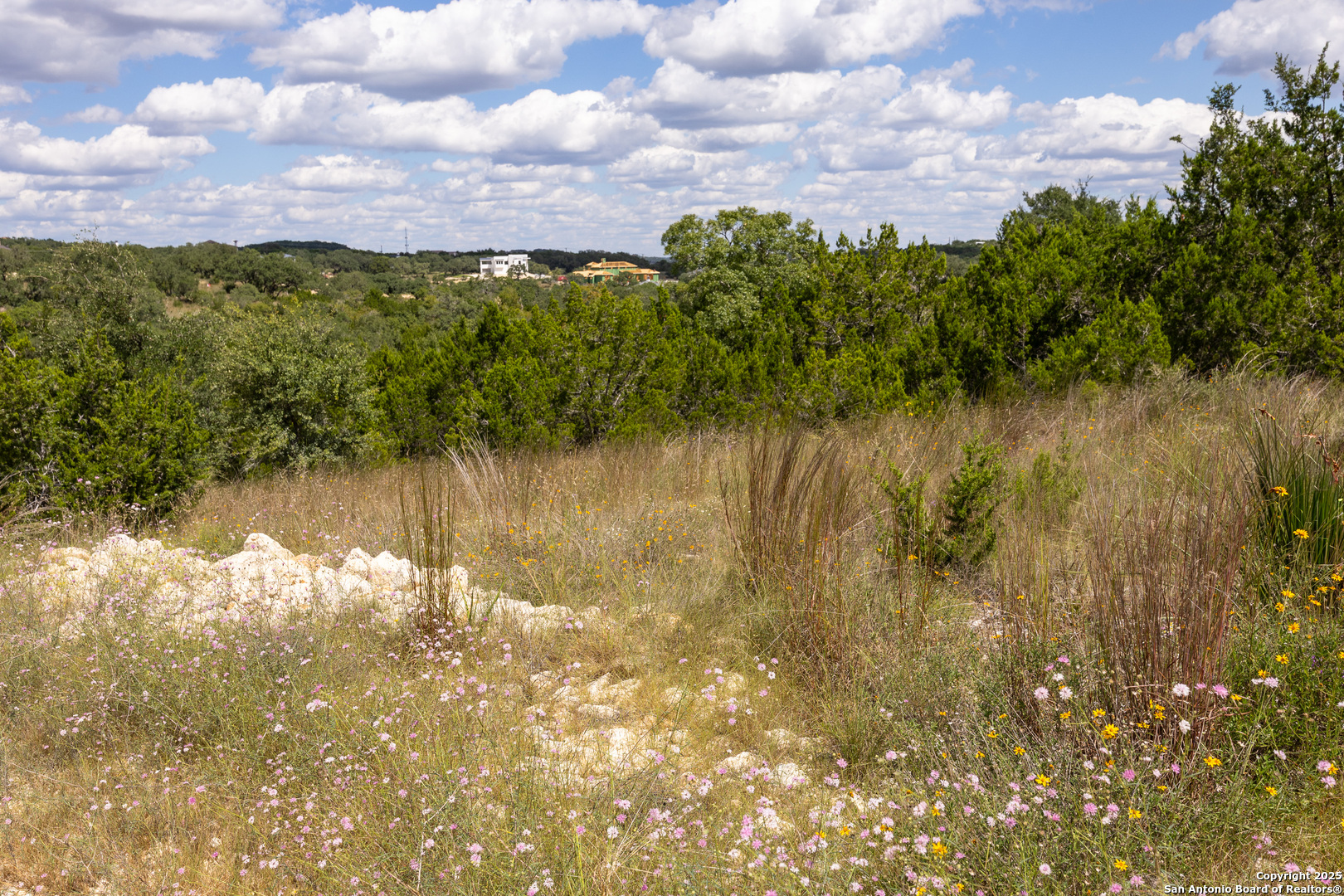 11317 Sloanes Ridge San Antonio TX 78255