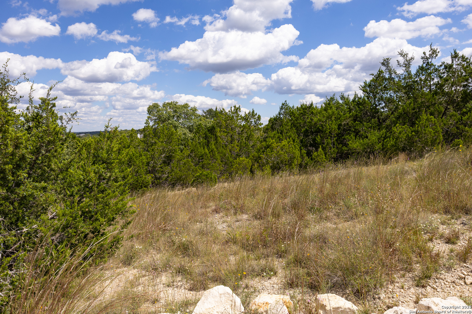 11317 Sloanes Ridge San Antonio TX 78255