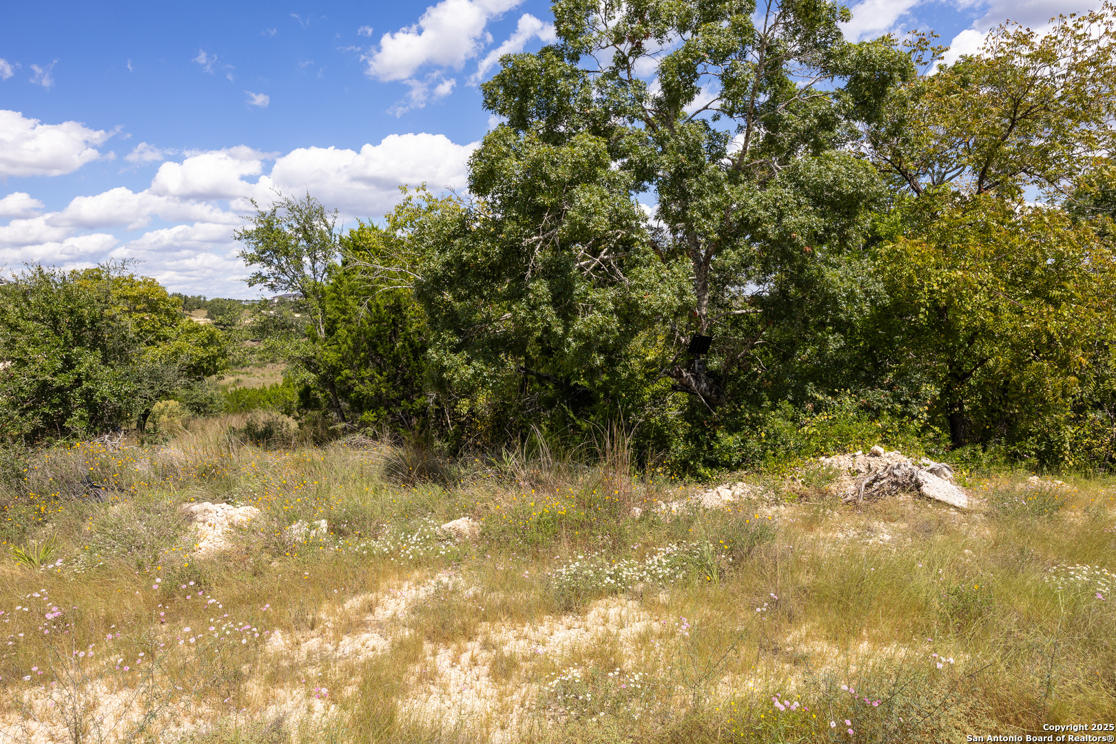 11317 Sloanes Ridge San Antonio TX 78255