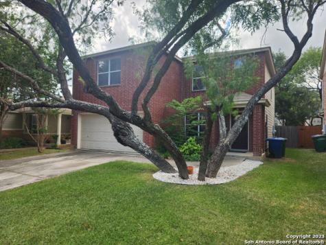 14711 Bluemist Pass San Antonio TX 78247