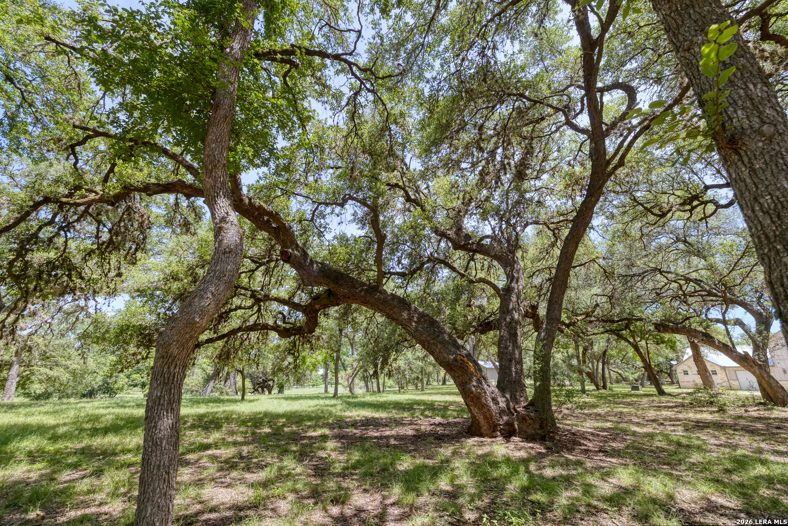 382 Arboles Court Concan TX 78801