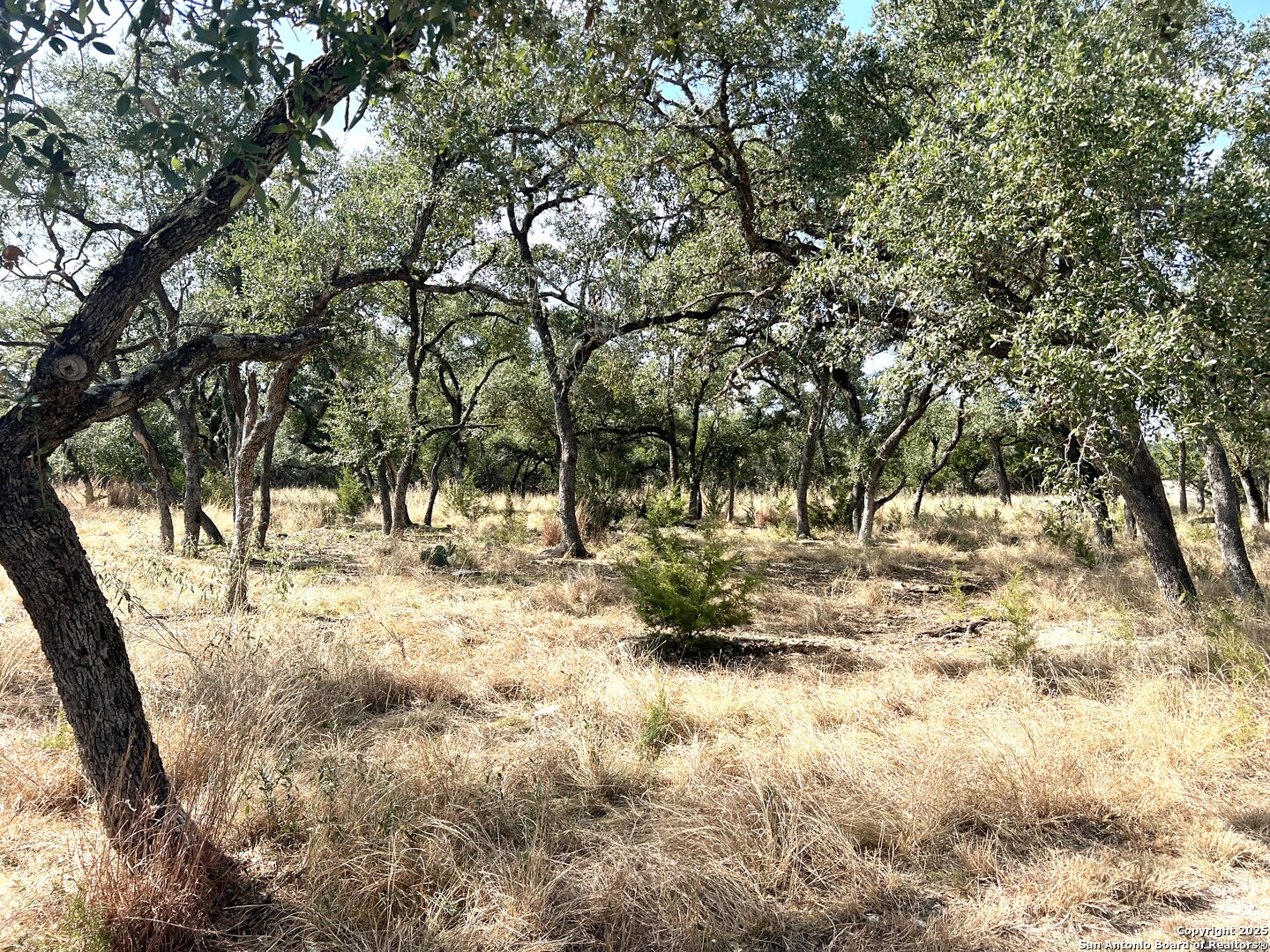 630 Indian Mound Tarpley TX 78883