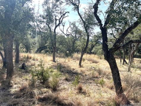 630 Indian Mound Tarpley TX 78883