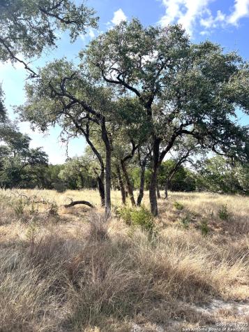 630 Indian Mound Tarpley TX 78883