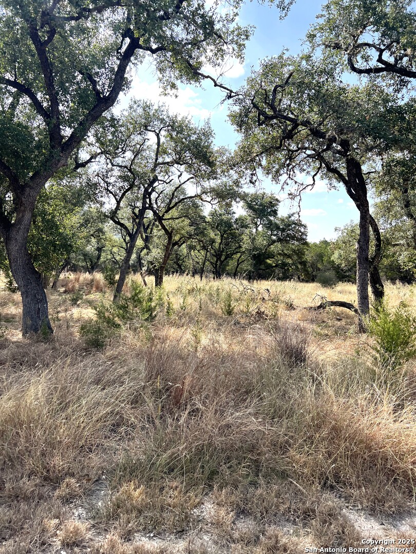 630 Indian Mound Tarpley TX 78883