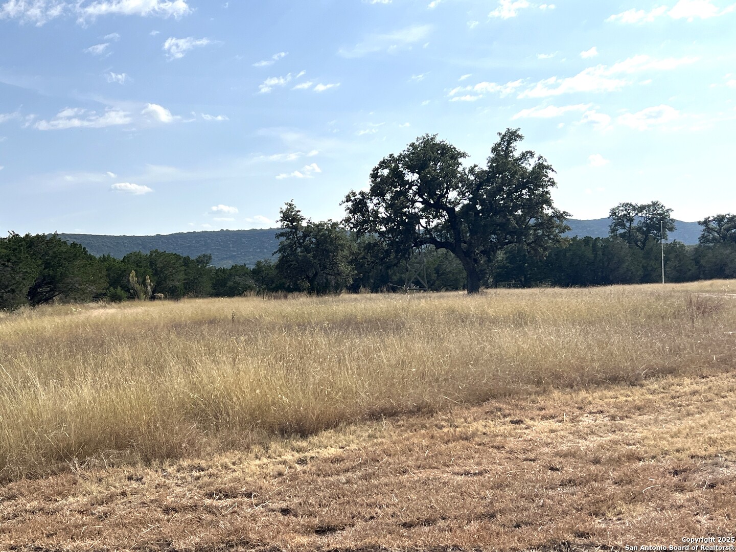 630 Indian Mound Tarpley TX 78883