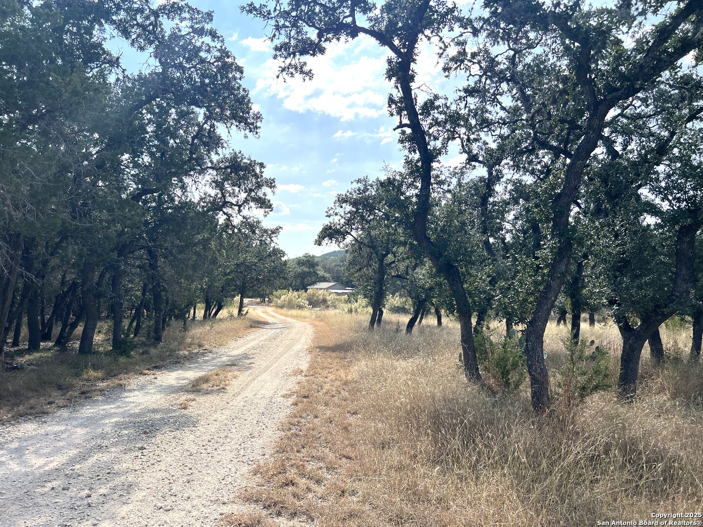 630 Indian Mound Tarpley TX 78883