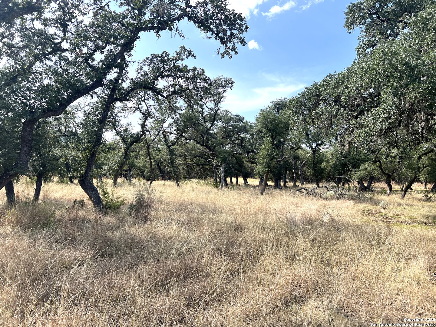 630 Indian Mound Tarpley TX 78883